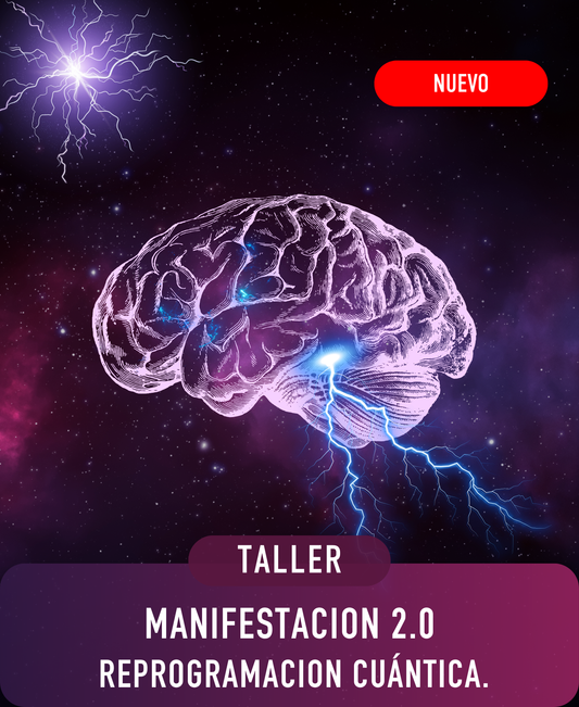 MANIFESTACIÓN 2.0