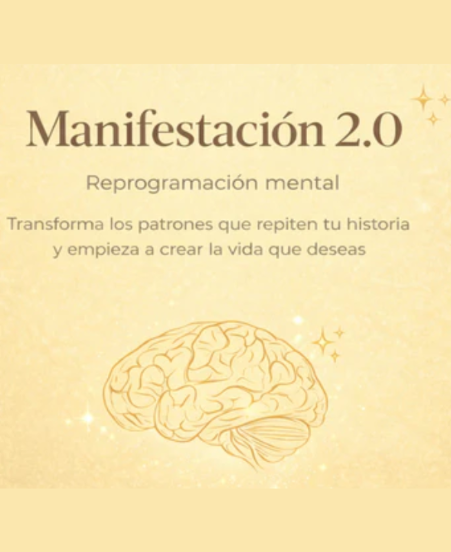 MANIFESTACION 2.0